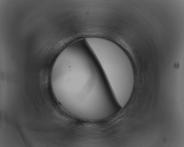 X0000091690115200708231139