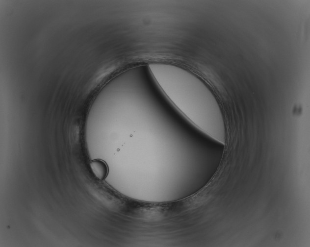 X0000091690120200708231139
