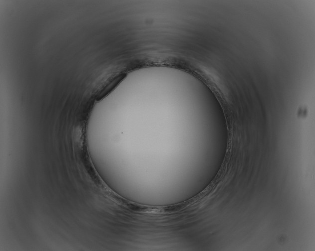 X0000091690121200708231139