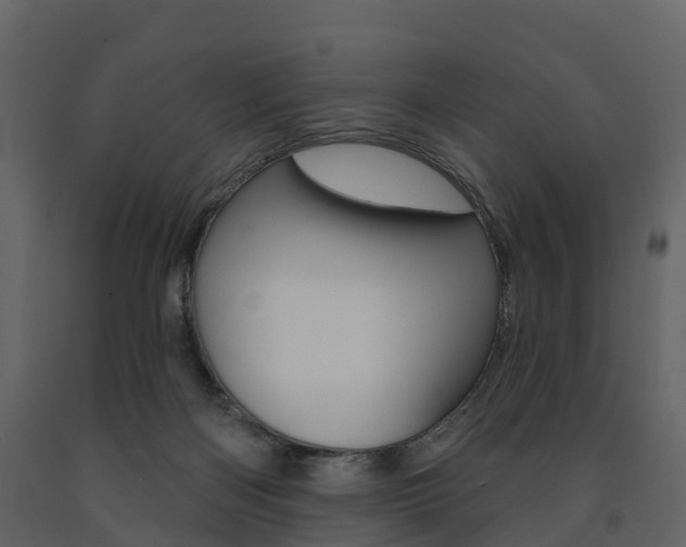 X0000091690122200708231139