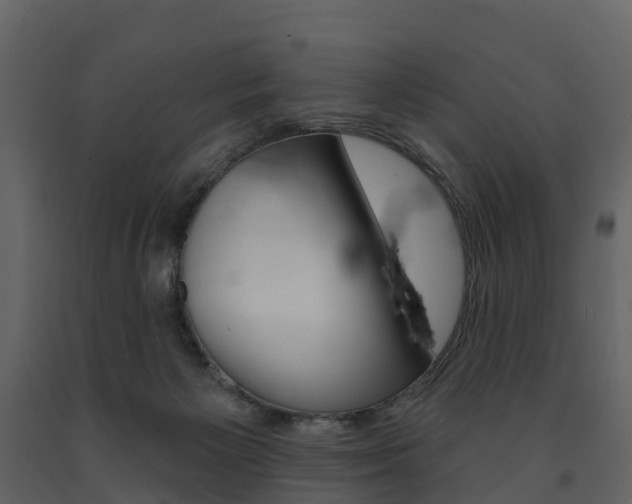 X0000091690125200708231139