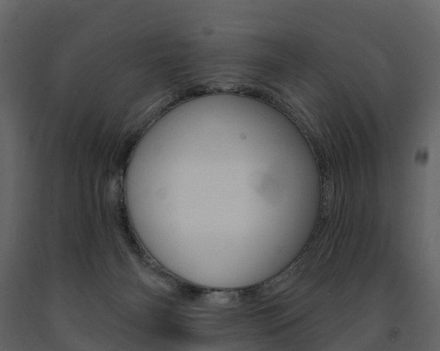 X0000091690126200708231139