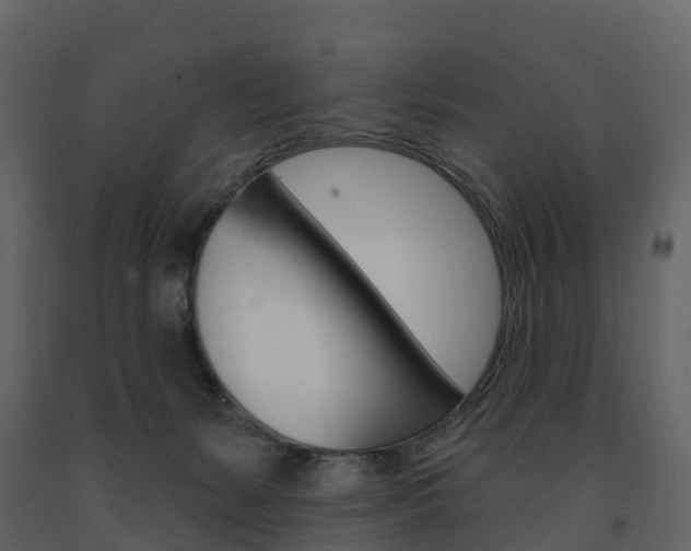 X0000091690127200708231139