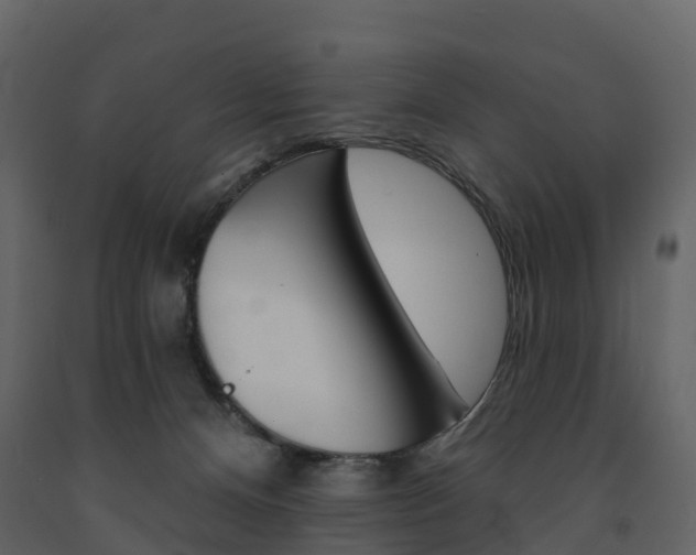 X0000091690128200708231139