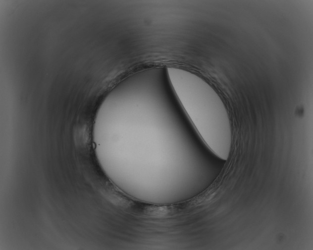 X0000091690131200708231139