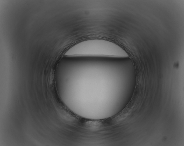 X0000091690133200708231139