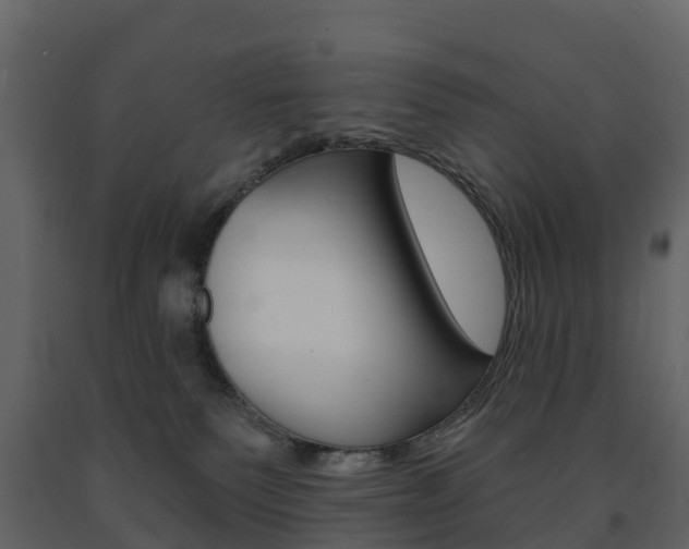 X0000091690135200708231139
