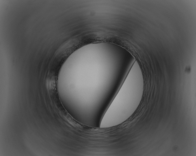X0000091690137200708231138