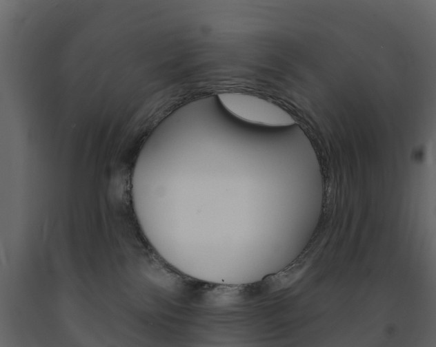 X0000091690138200708231138