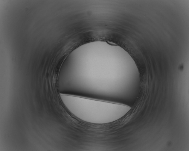 X0000091690139200708231138