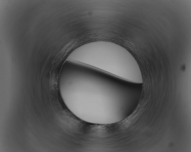 X0000091690140200708231138
