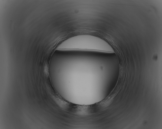 X0000091690143200708231138