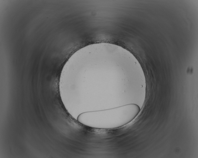 X0000091690144200708231138