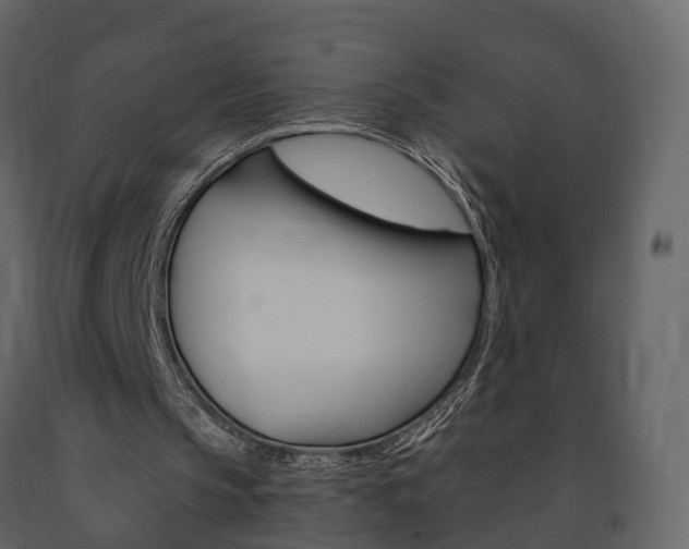 X0000091690145200708231138