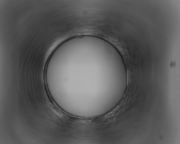 X0000091690147200708231138