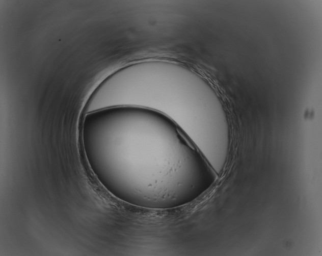 X0000091690148200708231138