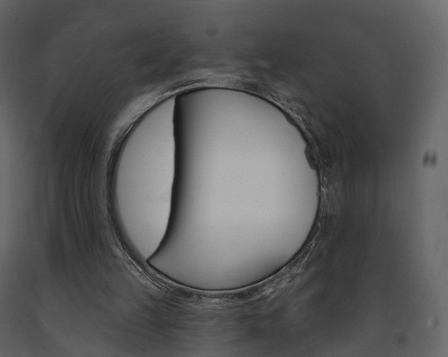 X0000091690149200708231138