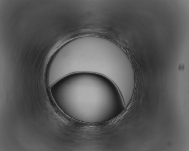 X0000091690150200708231138