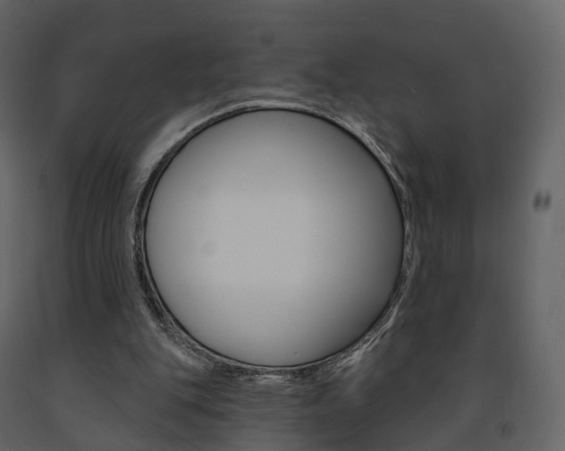 X0000091690151200708231138