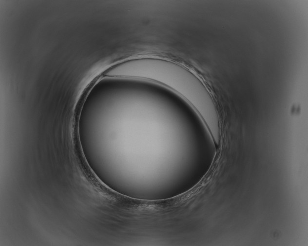 X0000091690152200708231138