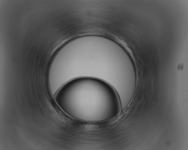 X0000091690154200708231138
