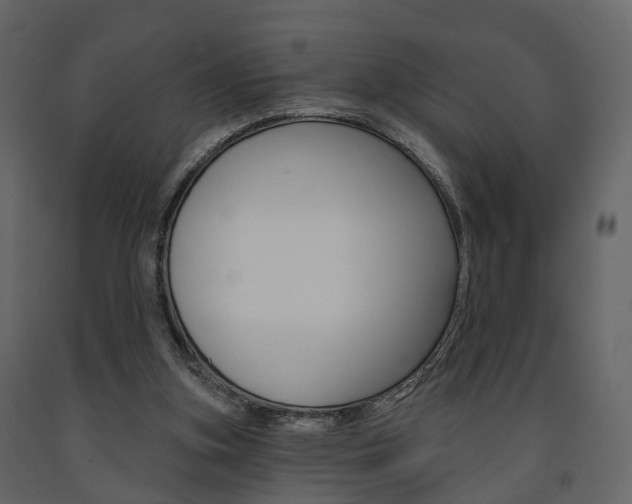 X0000091690155200708231138