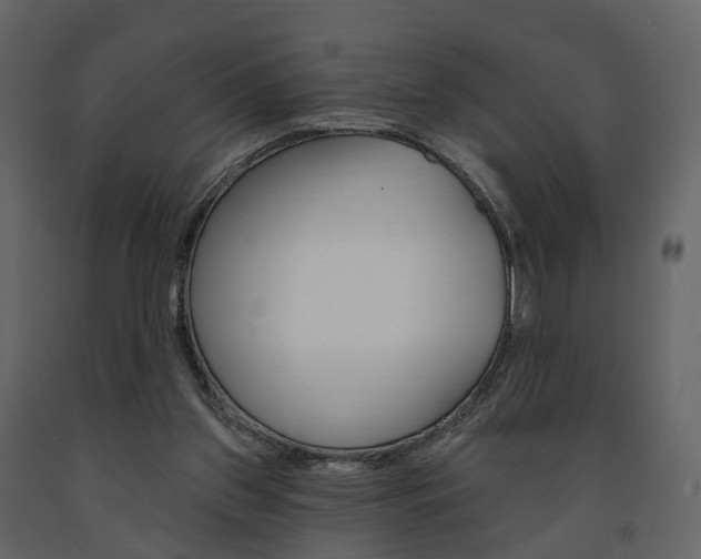 X0000091690157200708231138