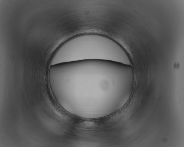 X0000091690159200708231138