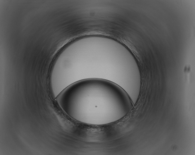X0000091690160200708231138