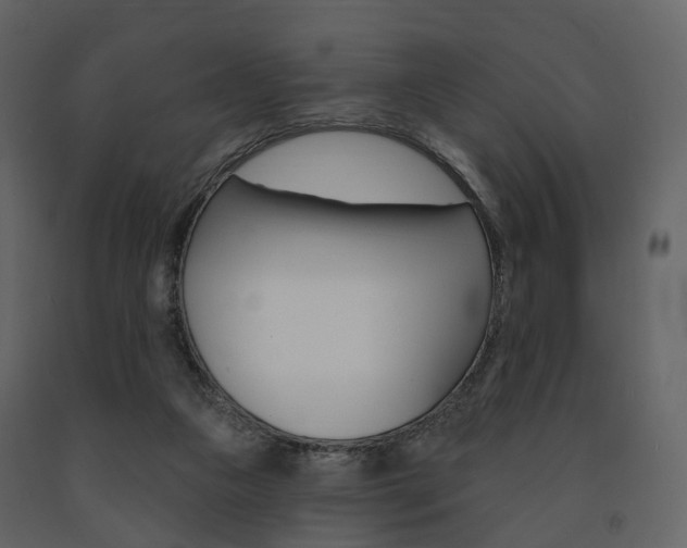 X0000091690161200708231138