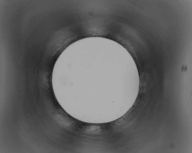 X0000091690162200708231138