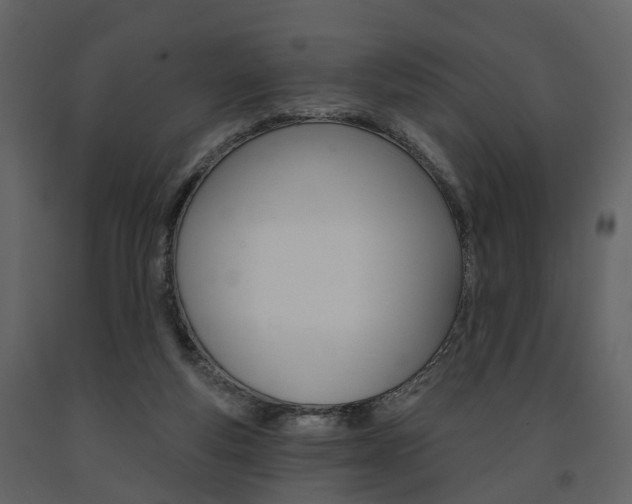 X0000091690163200708231138