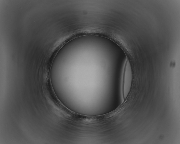 X0000091690164200708231138
