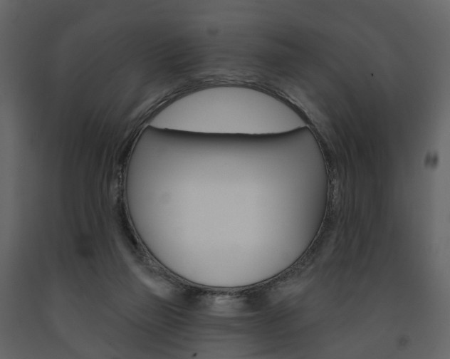 X0000091690165200708231138