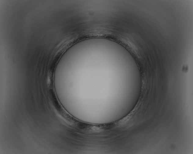 X0000091690166200708231138