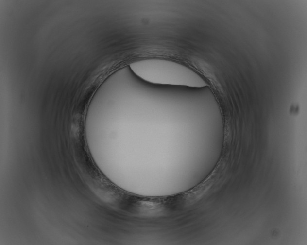 X0000091690167200708231138