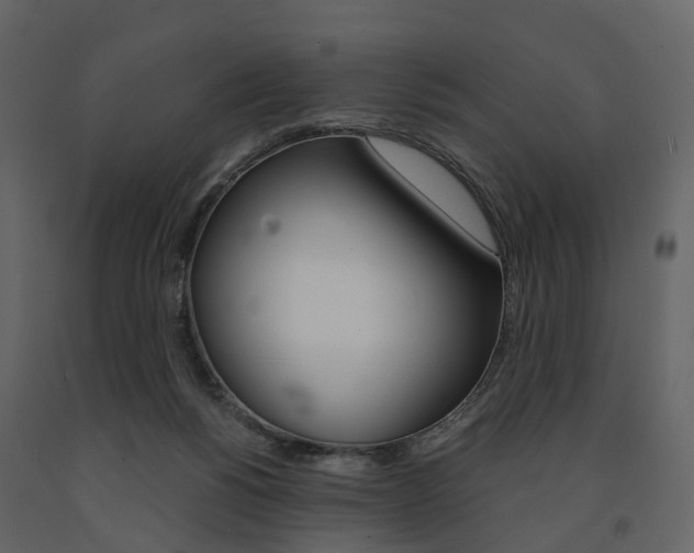 X0000091690168200708231138