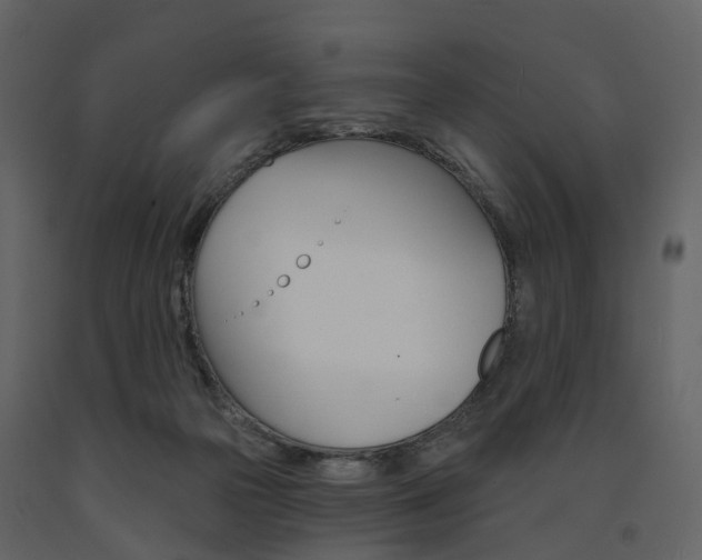 X0000091690169200708231138