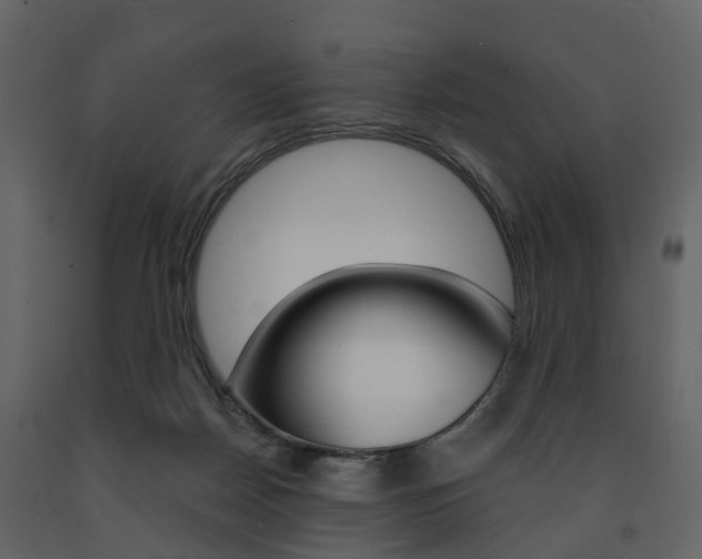 X0000091690170200708231138