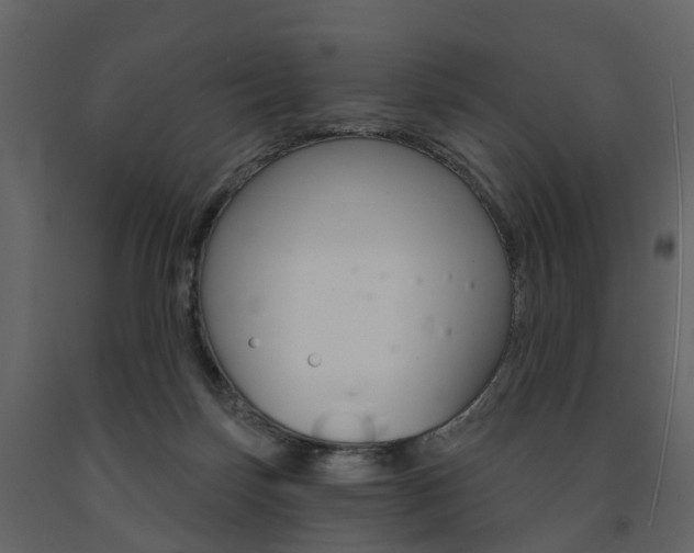 X0000091690171200708231138