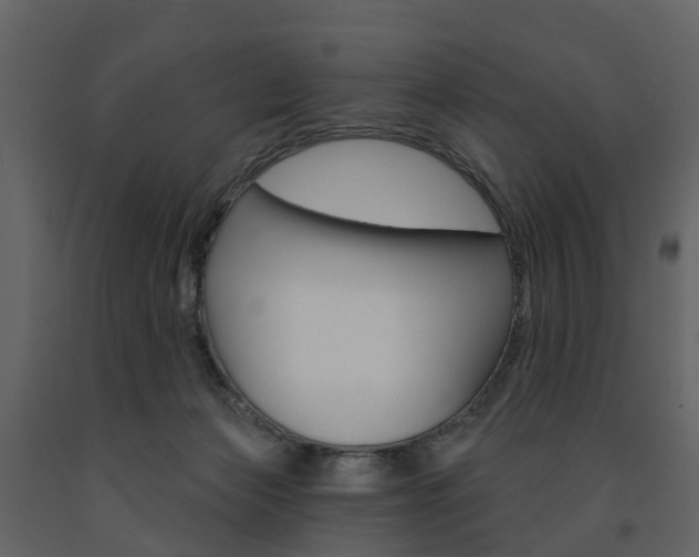 X0000091690173200708231138