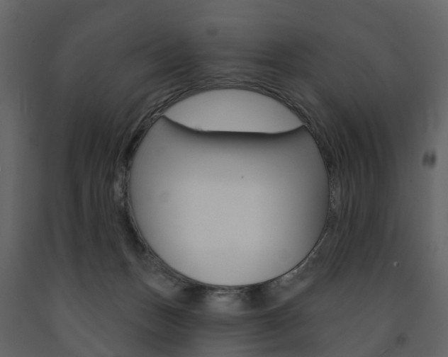 X0000091690175200708231138
