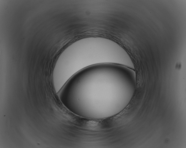X0000091690176200708231138