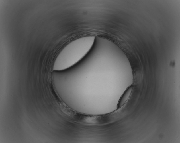 X0000091690178200708231138