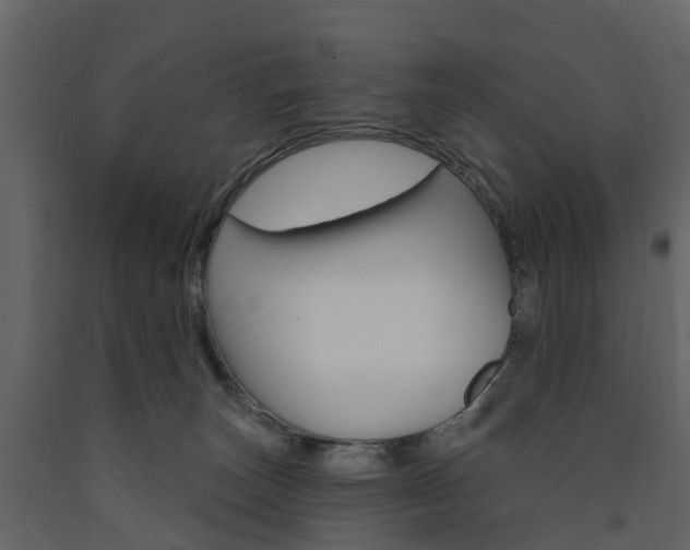 X0000091690179200708231138