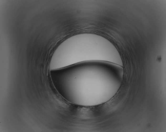 X0000091690180200708231138