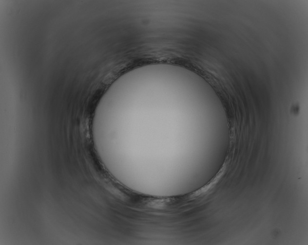 X0000091690182200708231138