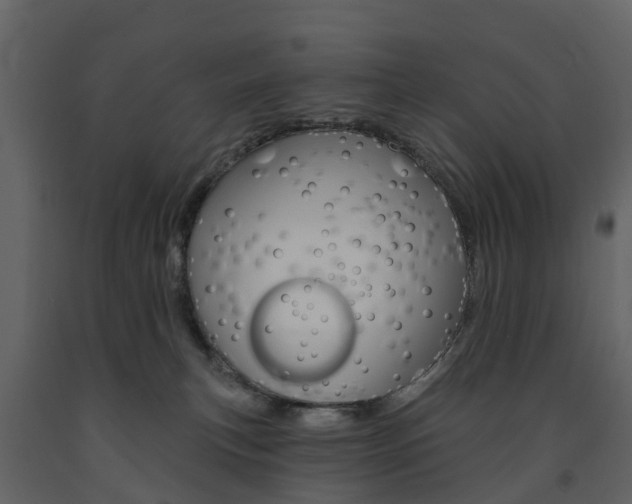 X0000091690183200708231138