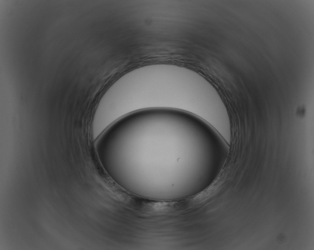 X0000091690184200708231138