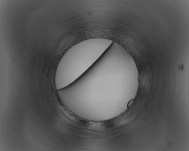 X0000091690185200708231138